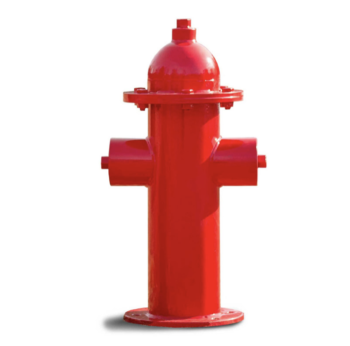 Dog Play Fire Hydrant