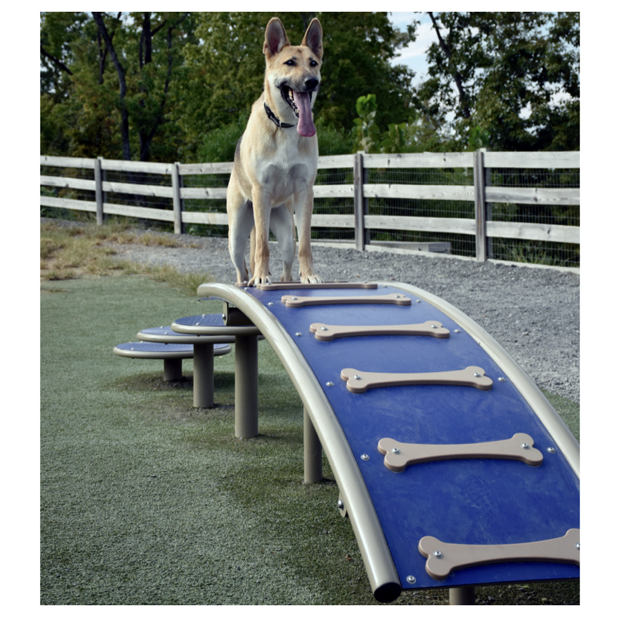 Dog Park Ramp