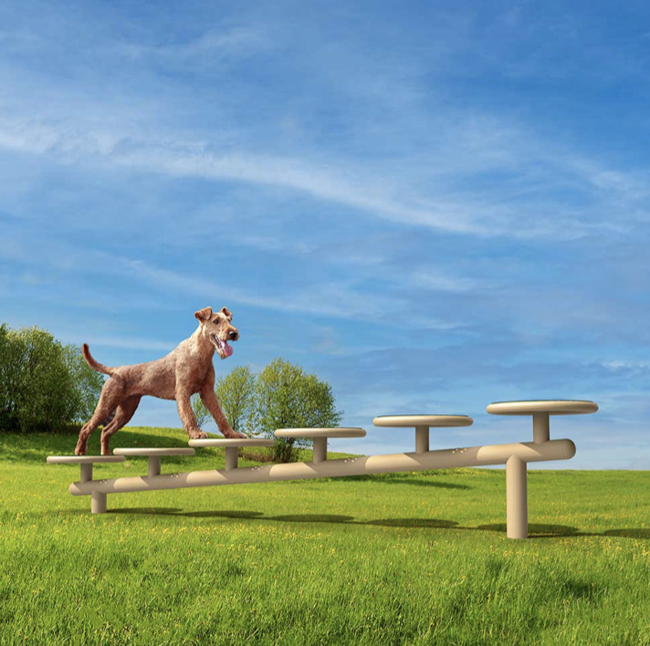 Dog Park Stepping Riser