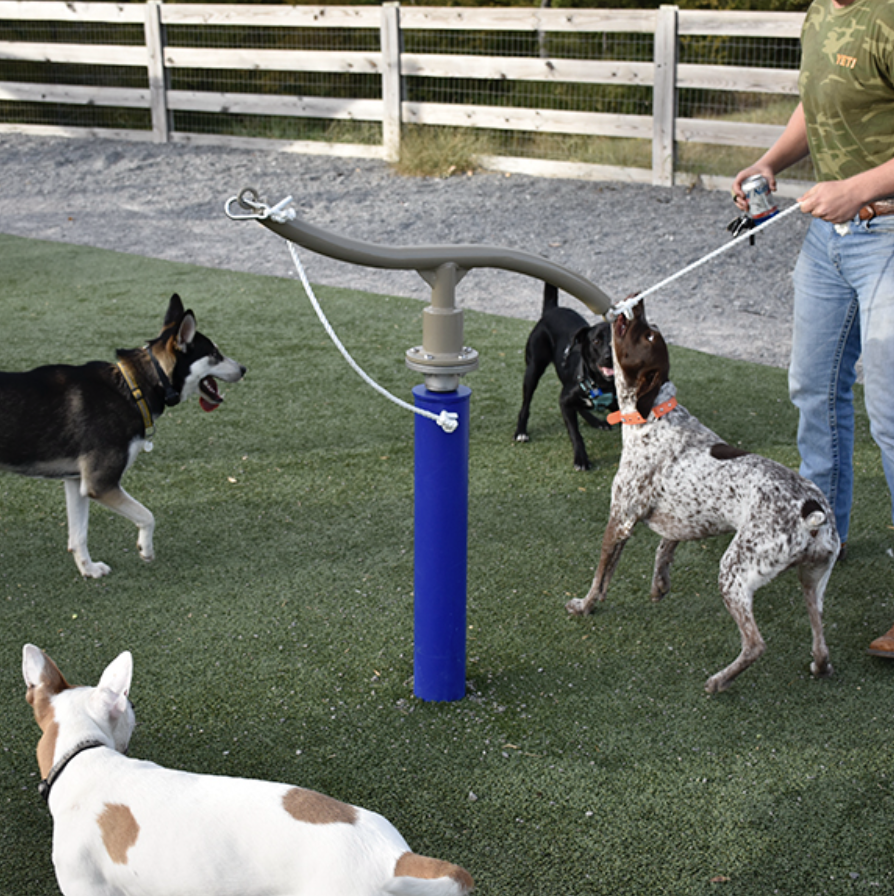 Dog Park Tug Around