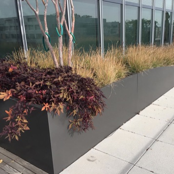 GFRC | Wilshire Parklet 242424+