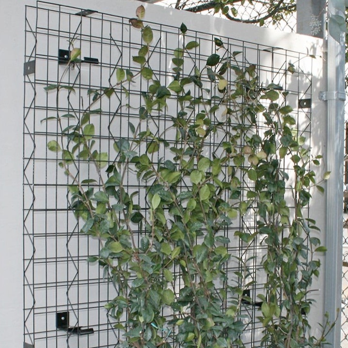 Trellis Panels