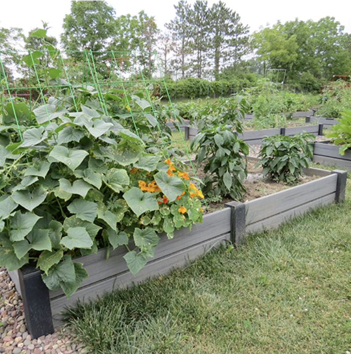 Garden Beds