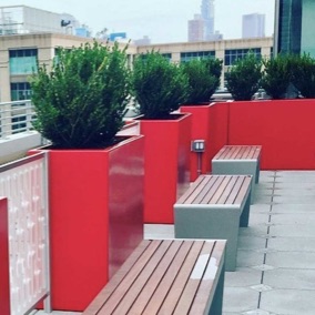 Wilshire | Rectangle